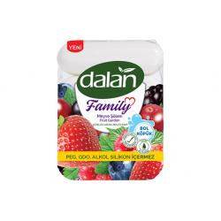 DALAN FAMILY SABUN 4X75GR MEYVE SOLENI